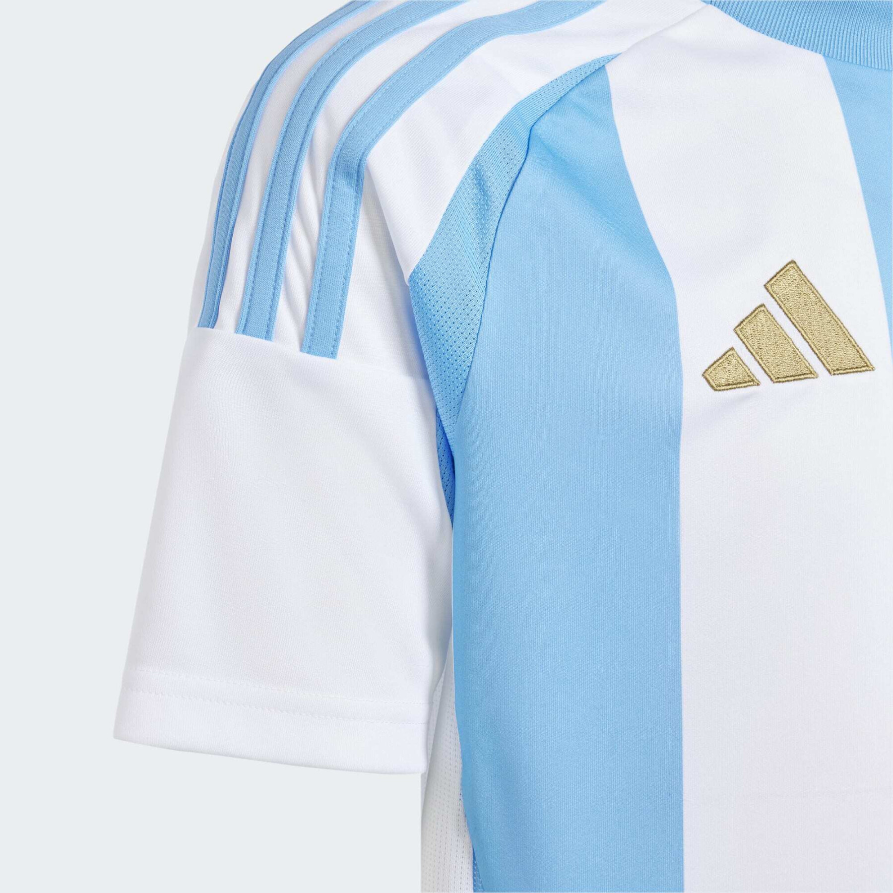 Heimtrikot Kinder Argentinien Copa America 2024