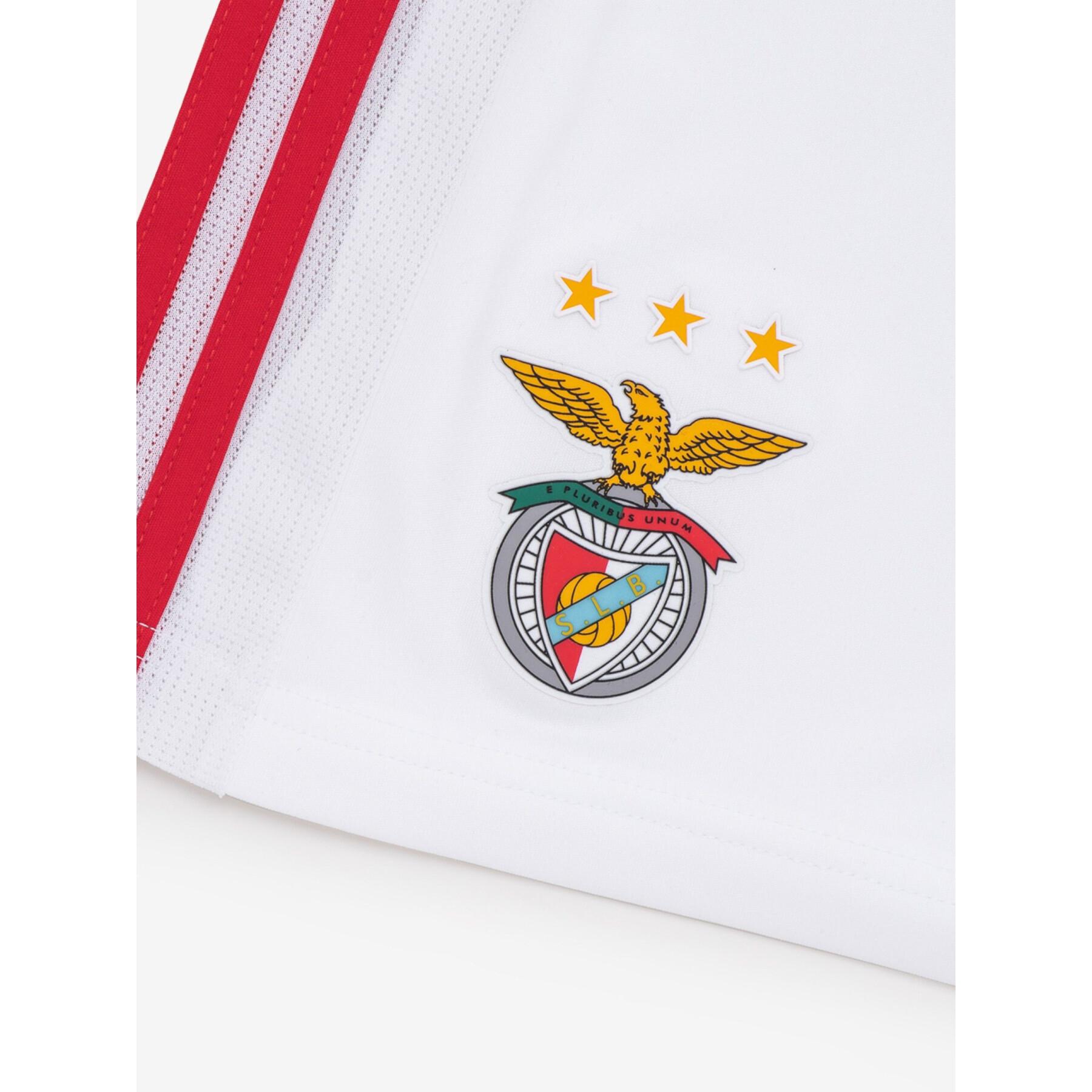 Mini-Bausatz Benfica Lisbonne 2019/20