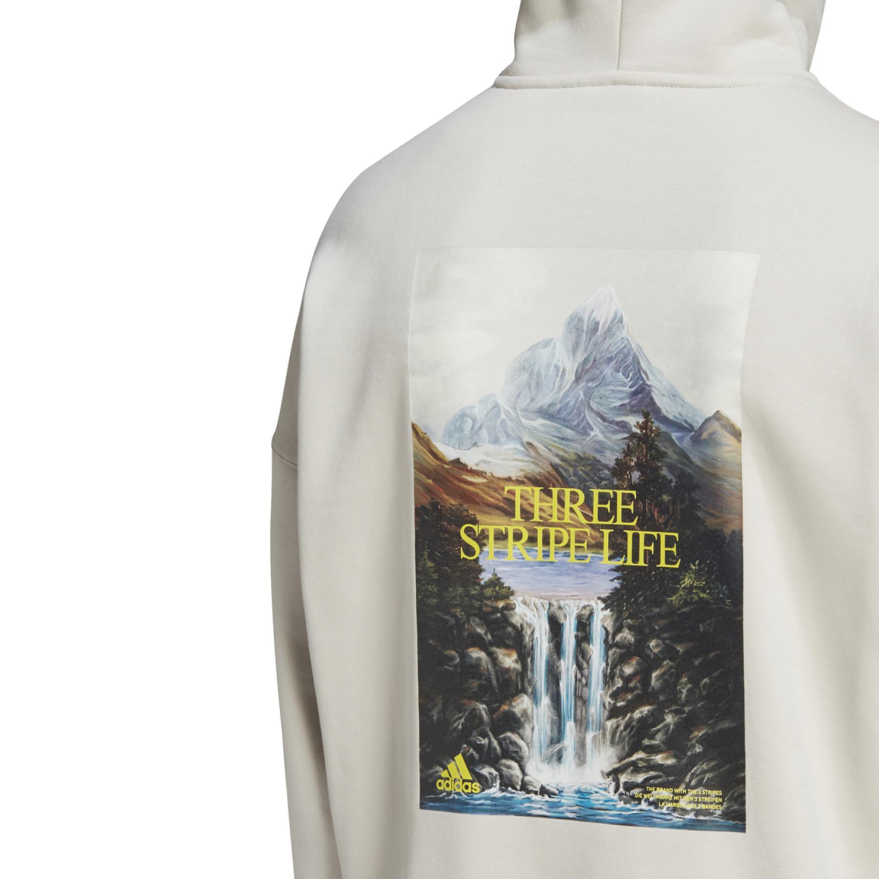 Sweatshirt mit Kapuze adidas Mountain Graphic