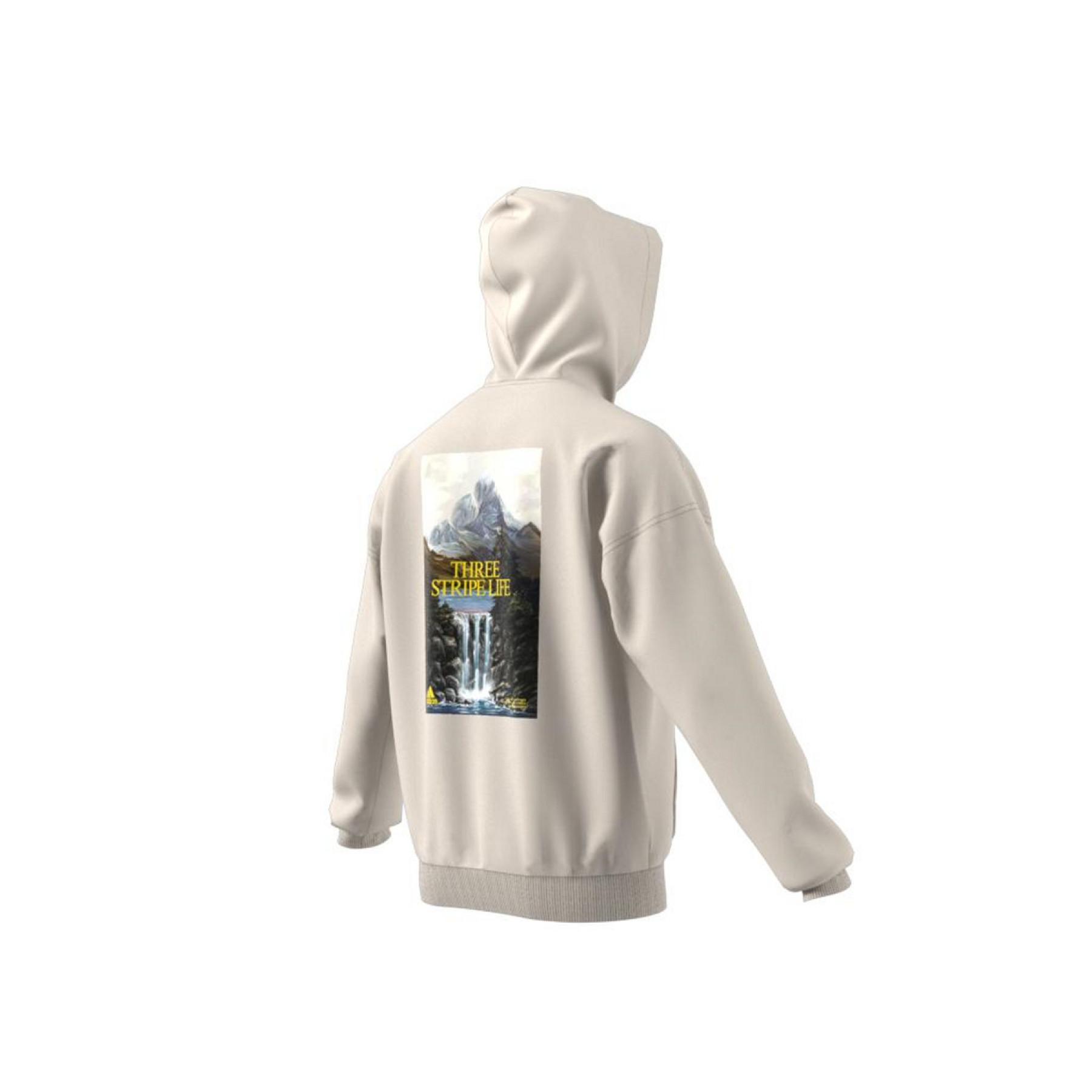 Sweatshirt mit Kapuze adidas Mountain Graphic