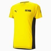 T-shirt Borussia Dortmund Evostripe 2021/22