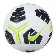 Ballon Nike Academy Pro