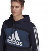 Sweatshirt mit Kapuze adidas Essentials Logo Colorblock